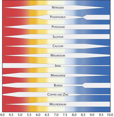 Nutrient Availability Chart