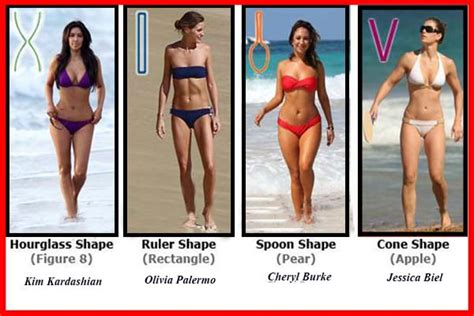 Female Body Shape – Telegraph