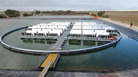 Australian made floating solar technology headed to California