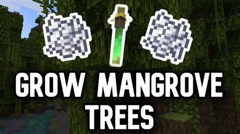 How To Grow Mangrove Trees In Minecraft - YouTube