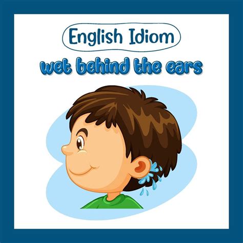 English idiom with picture description for wet behind the ears 4934396 Vector Art at Vecteezy