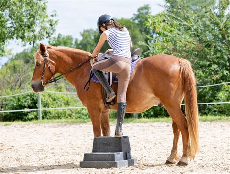 How to Mount a Horse Safely - EquestrianHow2