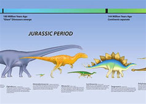 Dinosaur Timeline Greeting Card by Paul Gioacchini