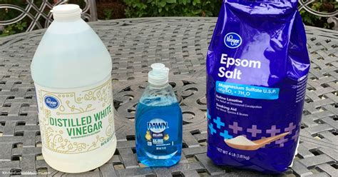 Homemade Recipe To Kill Weeds With Vinegar | Deporecipe.co