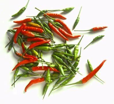 Buy Thai Fresh Chili 1 Lb Online at desertcartUAE