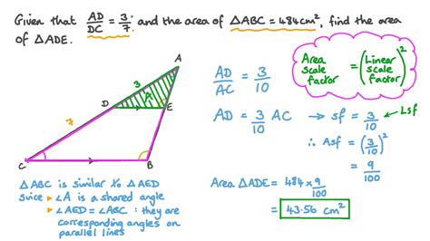 Similar Triangles