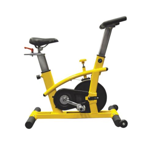 Fitnex Kids Indoor Cycle Trainer - X5 | Biking workout, Upright exercise bike, Exercise bike for ...