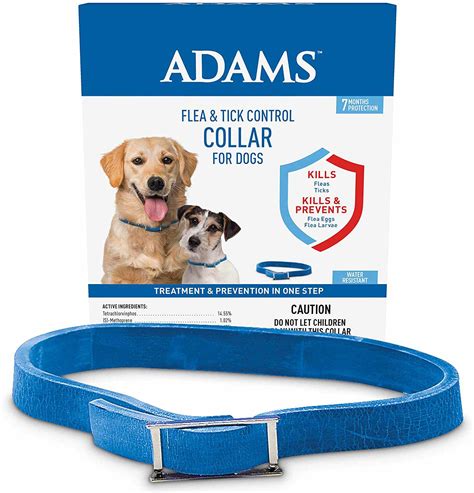 The 7 Best Flea Collars for Dogs in 2022