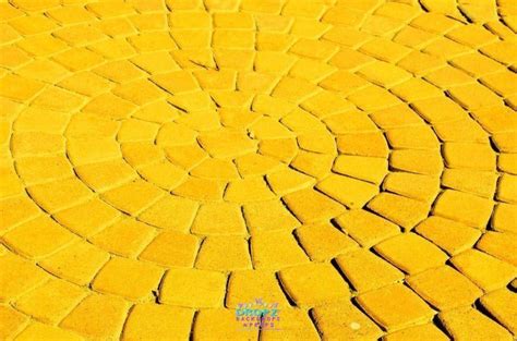 Yellow Brick Road Photo Background | Dropz Backdrops | Dropz Backdrops Australia