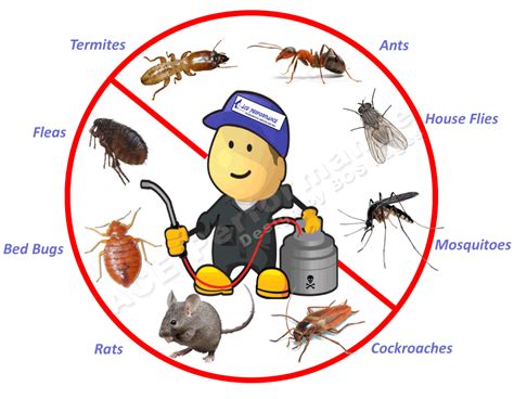 Home Chemical Treatment Cockroaches Pest Control Services, | ID: 23087912148