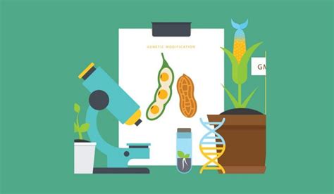 Mandatory GMO Labeling: Pros and Cons - ArticleCity.com