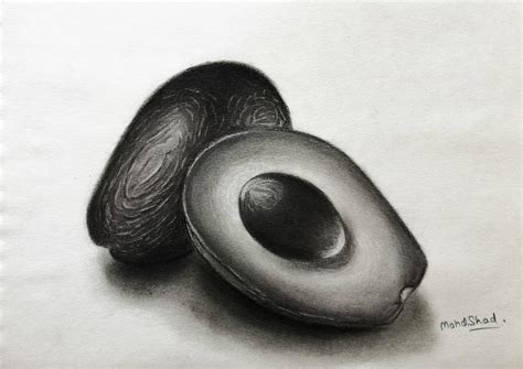 Avocado Pencil Drawing by iamshadmirza on DeviantArt