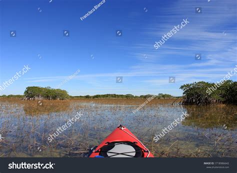 565 Nine mile river Images, Stock Photos & Vectors | Shutterstock