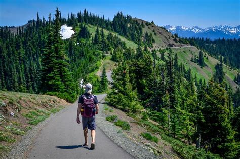 20 Best Hikes in Olympic National Park - Go Wander Wild