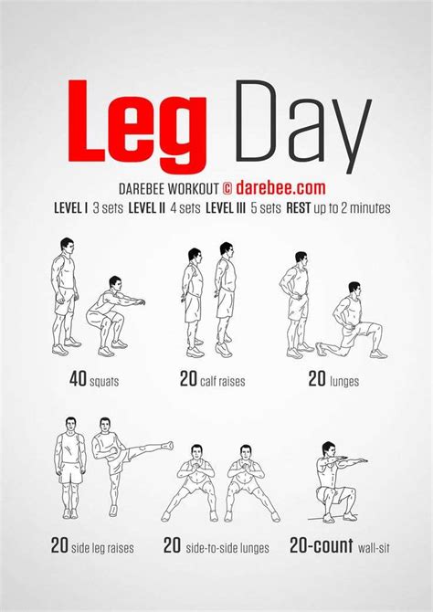 Leg Workout For All Muscle Groups - Day 1