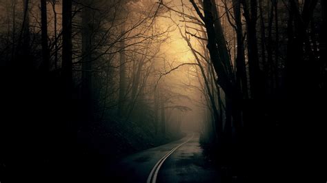 iWallpapers: DARK FOREST ROAD HD WALLPAPER