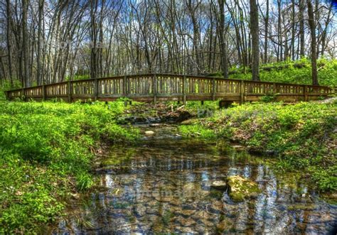 a wooden bridge over a small stream in the woods