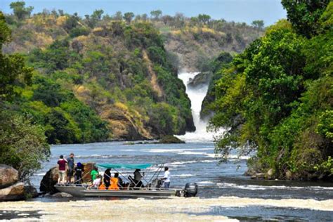 Murchison Falls National Park: 2-Day Safari with Boat Cruise | GetYourGuide