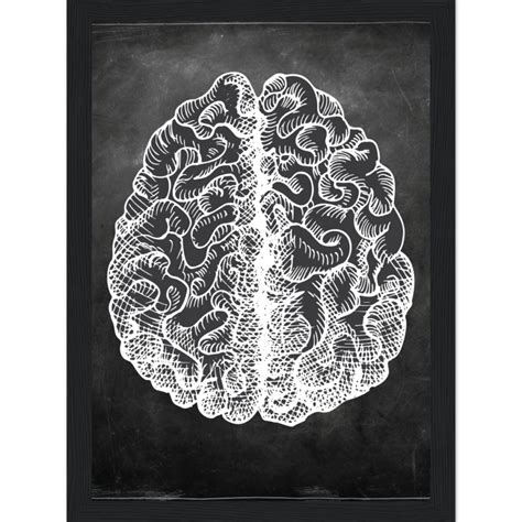 Chalkboard Brain Anatomy Art - MedArts | Medical Art Store