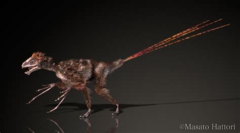 Epidexipteryx Pictures & Facts - The Dinosaur Database