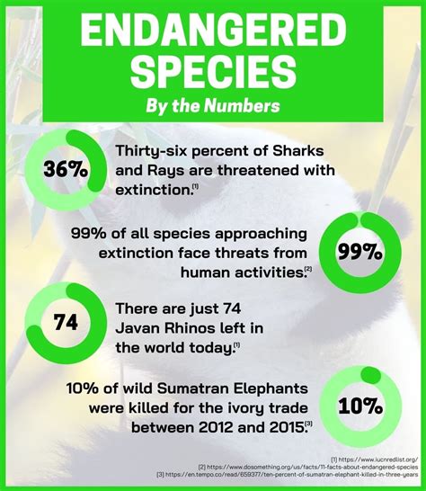 Top 135+ Amazing facts about endangered animals - Merkantilaklubben.org