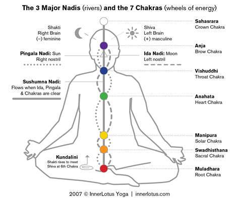 Inner Lotus Yoga: The 7 Chakras