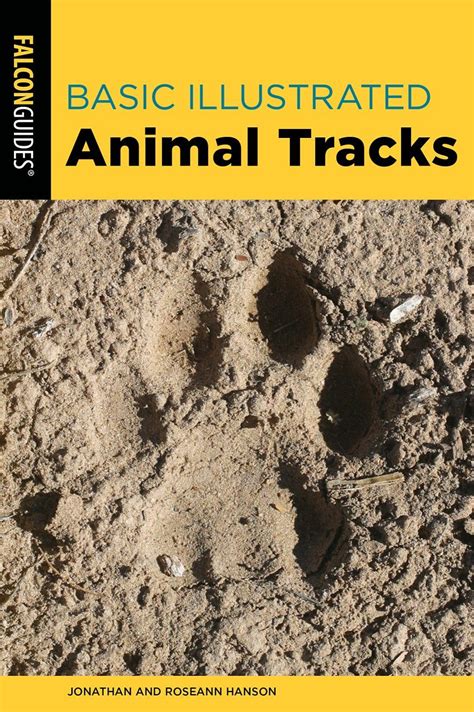 Basic Illustrated Animal Tracks | NHBS Field Guides & Natural History