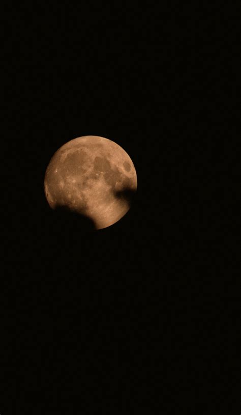 Moon in the Night Sky · Free Stock Photo