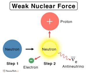 Weak Nuclear Force: Definition, Properties, and Examples