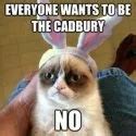 20 Funny Cat Easter Memes Too Cute To Not Share