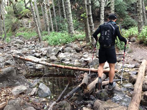 Gear Review: Black Diamond Trail Pro Shock Trekking Poles - Trail to Peak