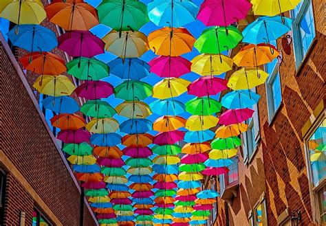 See The World Famous Umbrella Sky Project In Elmhurst, Illinois