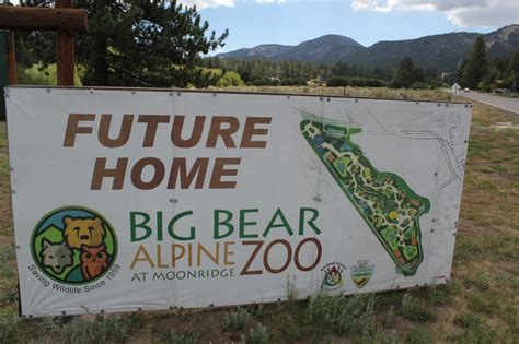 The New Big Bear Alpine Zoo