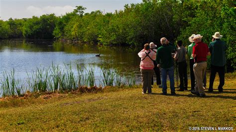 Everglades National Park | WILDLIFE VIEWING | Bringing you America, one park at a time