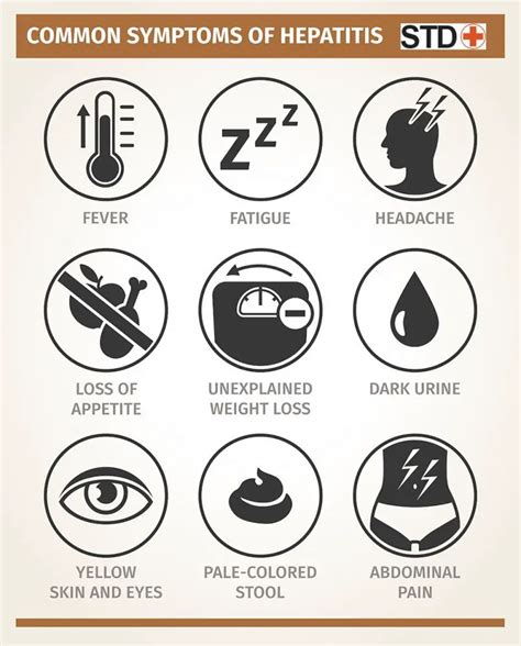 Hepatitis Symptoms, Treatment, Testing | STD Hepatitis