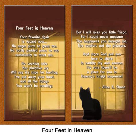 "Four Feet in Heaven" Cat Lover Remembrance Poem - Healing the Heart