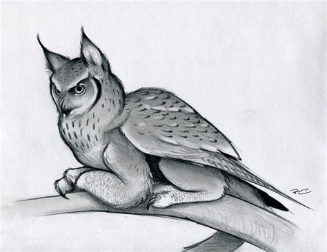 Image - Owl-cat-03.jpg | Chronicles of Arn Wiki | FANDOM powered by Wikia