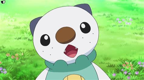 Pokemon Oshawott Wallpapers - Top Free Pokemon Oshawott Backgrounds - WallpaperAccess