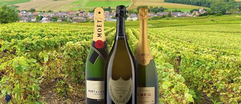 Champagne | Local Wine Appellation From Champagne-Ardenne, France