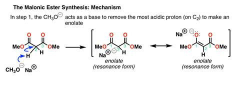 The Malonic Ester Synthesis – Master Organic Chemistry