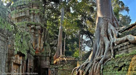 Siem Reap: Angkor Wat: Small-Group Sunrise Tour | GetYourGuide