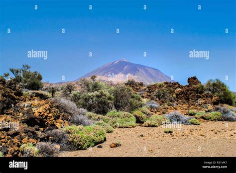 Volcano Teide in Tenerife, Canary islands Stock Photo - Alamy