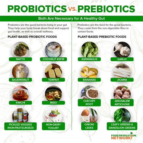 probiotics for mental health - Reginia Marr