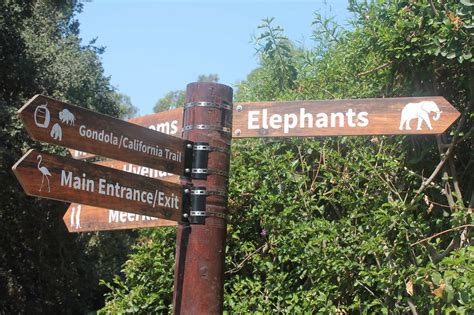 Just Opened! California Trail at Oakland Zoo | offMetro CA