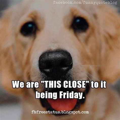 We are this close to it being Friday, Happy Wednesday Meme. Funny ...