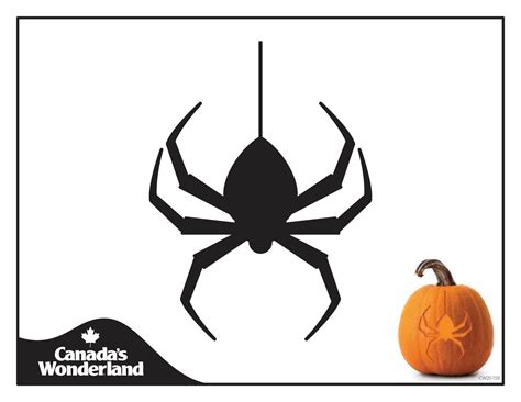 Spider Pumpkin Stencil