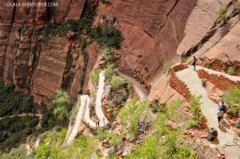 15 Best Hikes in Zion National Park Utah