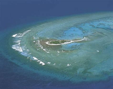 Cay | Coral Reef, Marine Ecosystem & Caribbean | Britannica