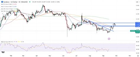 Cardano Price Prediction as ADA Pushes Past Dogecoin in Coin Rankings ...