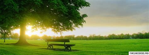 Bench in Morning Sunrise Facebook Cover Photo